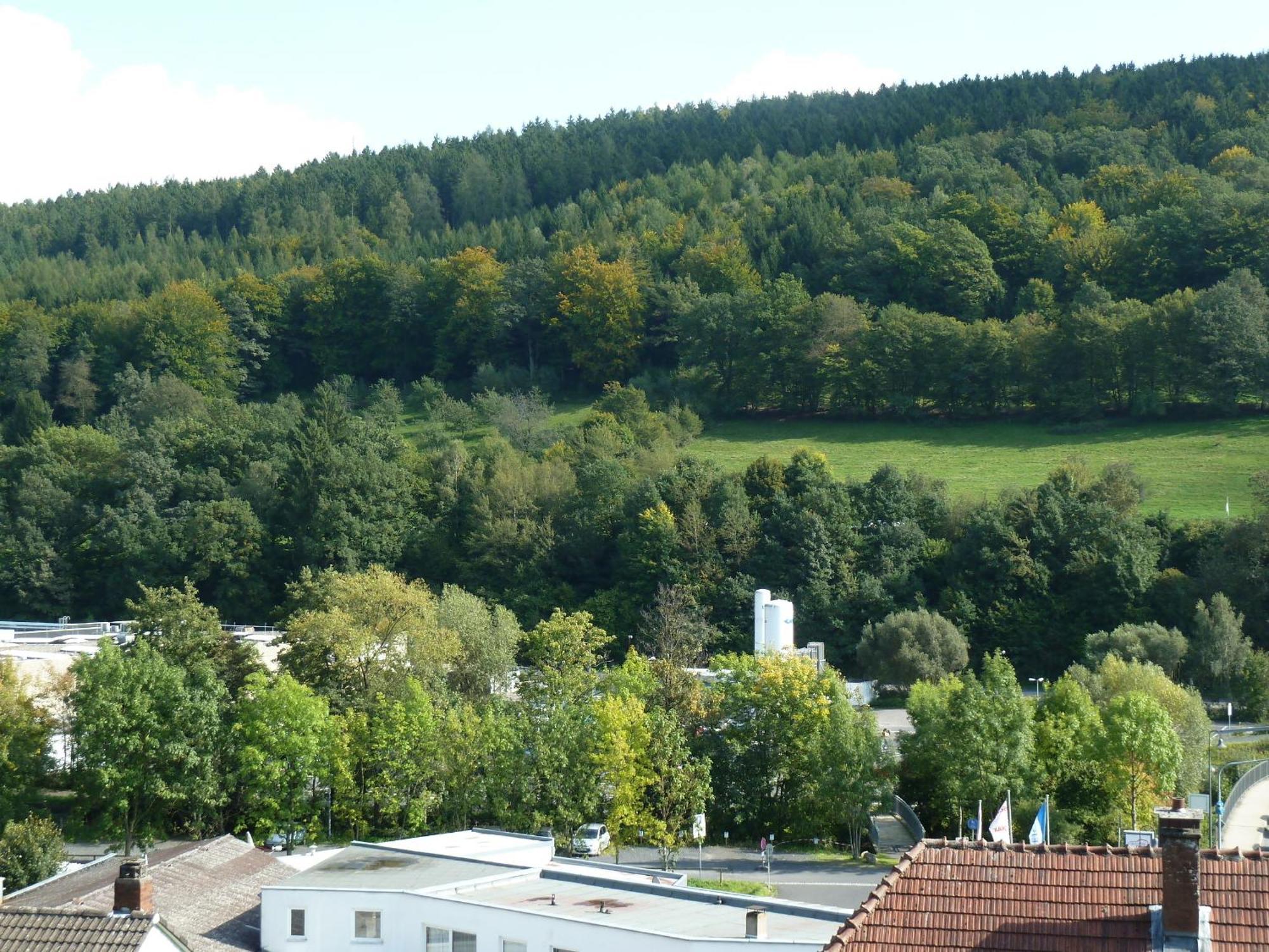 Lina'S Rhoen Bad Bruckenau Bagian luar foto