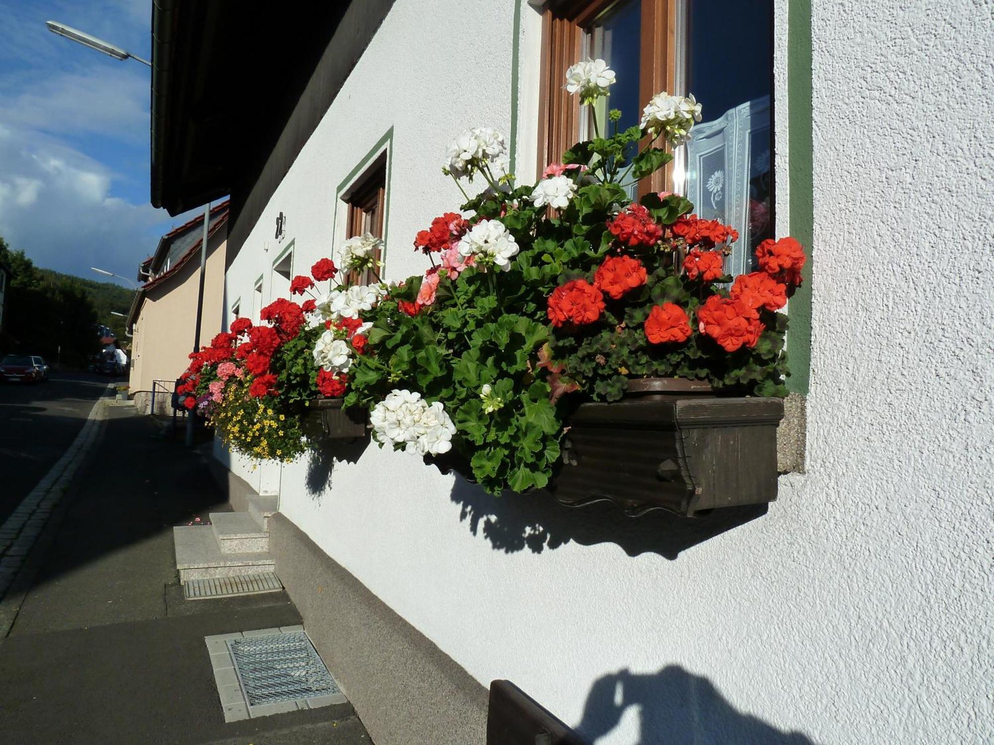 Lina'S Rhoen Bad Bruckenau Bagian luar foto